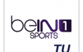 beIN SPORTS 1 Turkey Logo