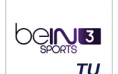 beIN SPORTS 3 Turkey Logo